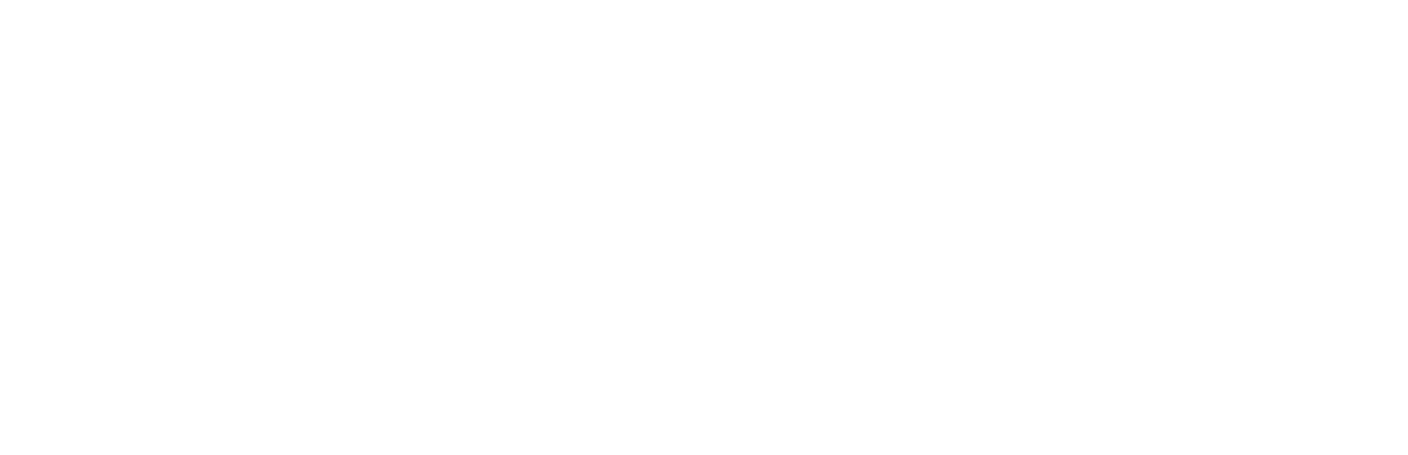 INIT Brand Logo White